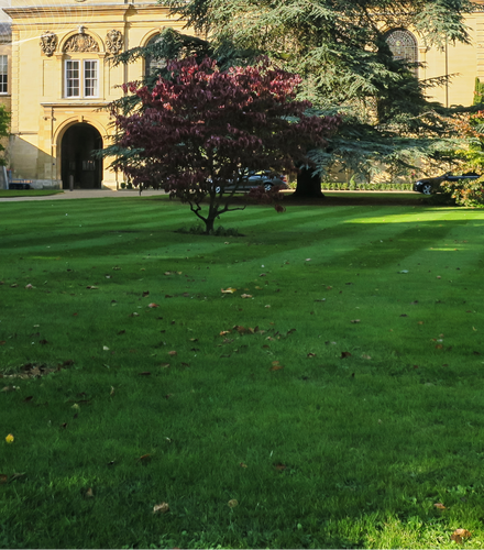 Explore institutions with StudyPal